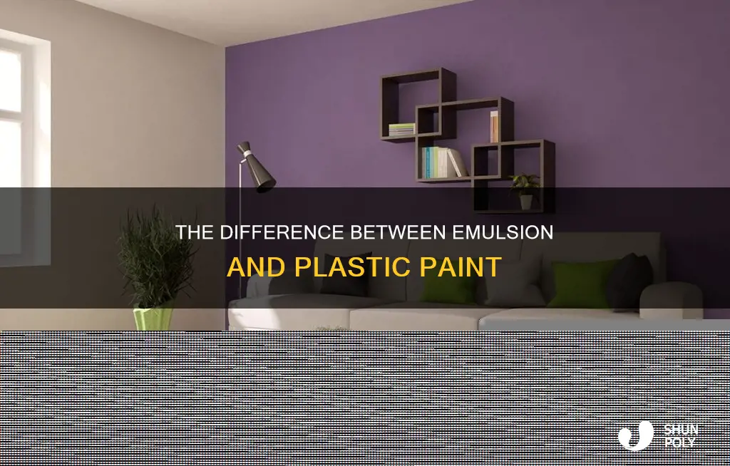 is emulsion plastic paint