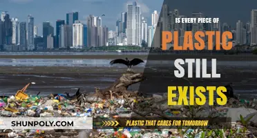 Plastic's Eternal Existence: Is It True?