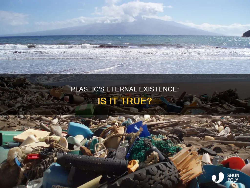is every piece of plastic still exists