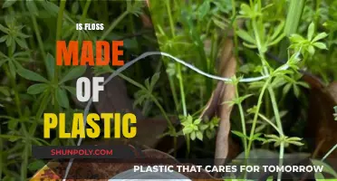 Is Your Floss Plastic? Uncovering the Truth About Dental Floss
