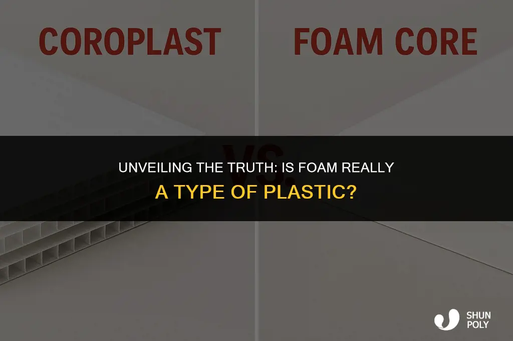 is foam a plastic