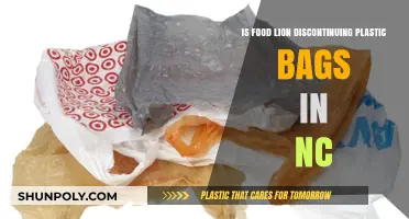 Food Lion's Plastic Bag Phase-Out: What NC Shoppers Need to Know