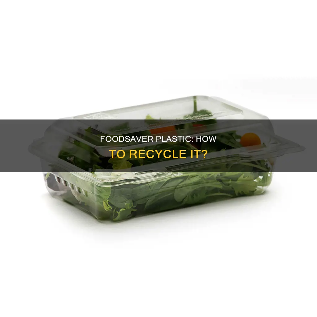 is foodsaver plastic recyclable