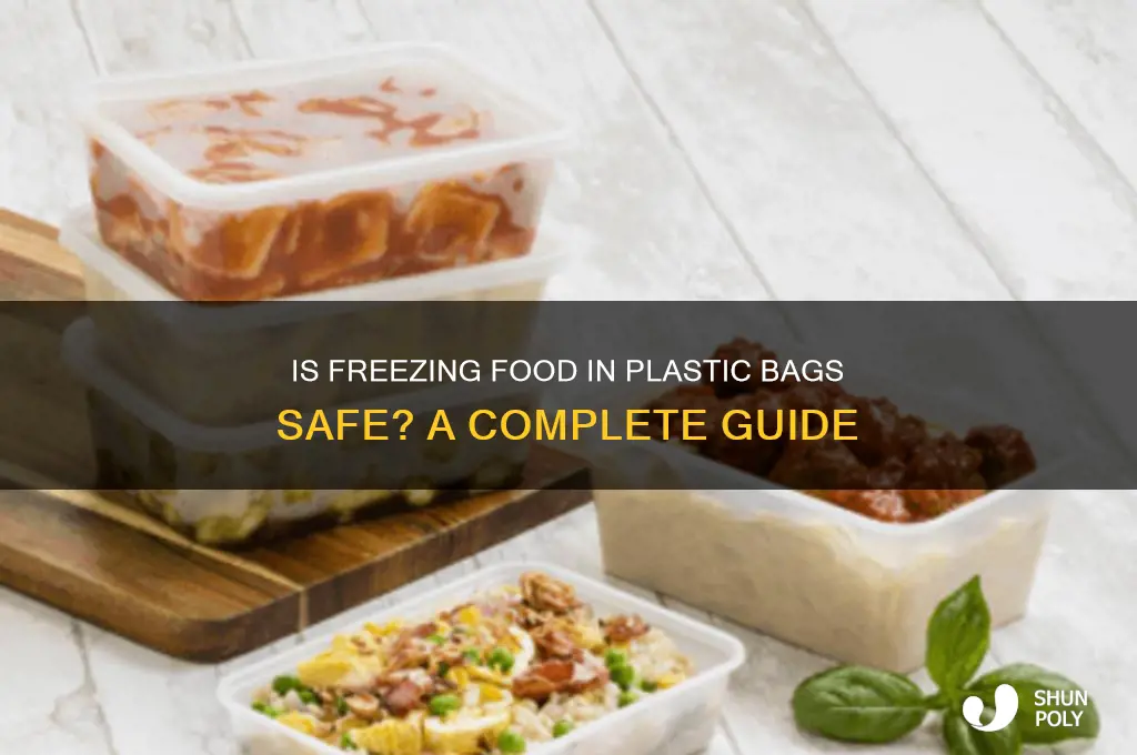 is freezing food in plastic bags safe