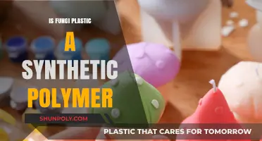 Fungi Plastic: Nature's Synthetic Polymer