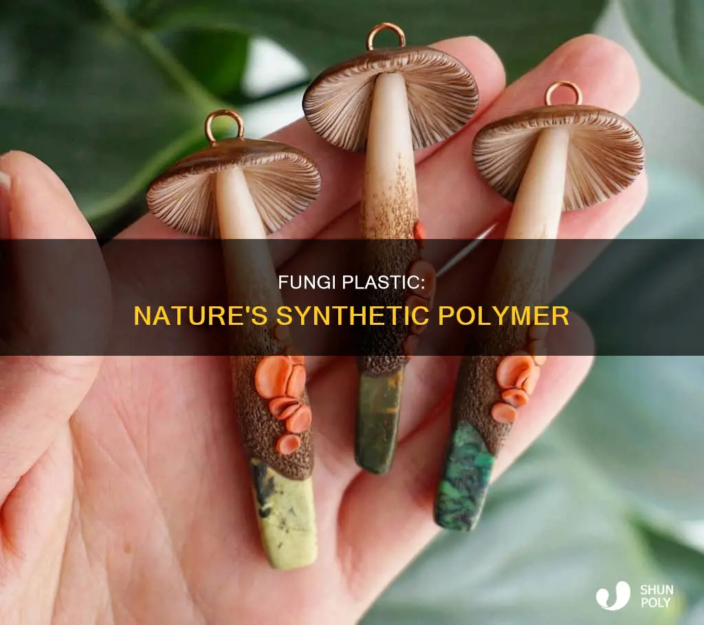 is fungi plastic a synthetic polymer