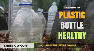 Is Bottle Gardening Safe? Health Risks and Benefits Explained
