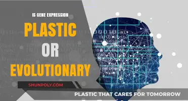 Gene Expression: Plasticity and Evolution