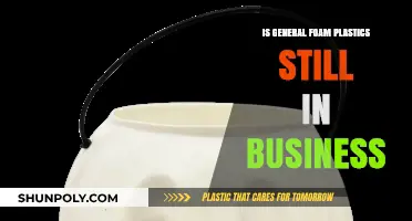 General Foam Plastics: What Happened to the Company?