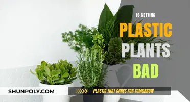 Are Plastic Plants a Harmful Choice for Your Home or Aquarium?