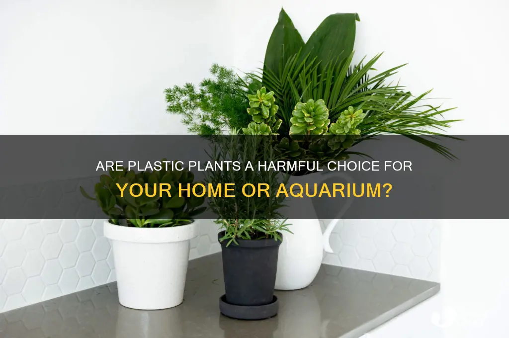 is getting plastic plants bad
