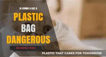 Plastic Bags and Cats: Understanding the Hidden Dangers for Felines