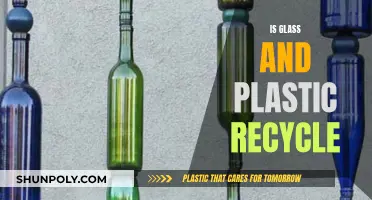 Glass and Plastic: Can They Be Recycled?