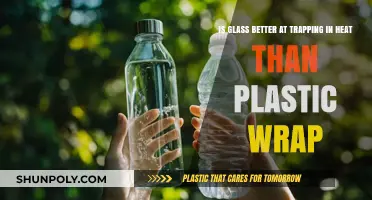 Glass vs. Plastic Wrap: Which Keeps Your Food Warmer?