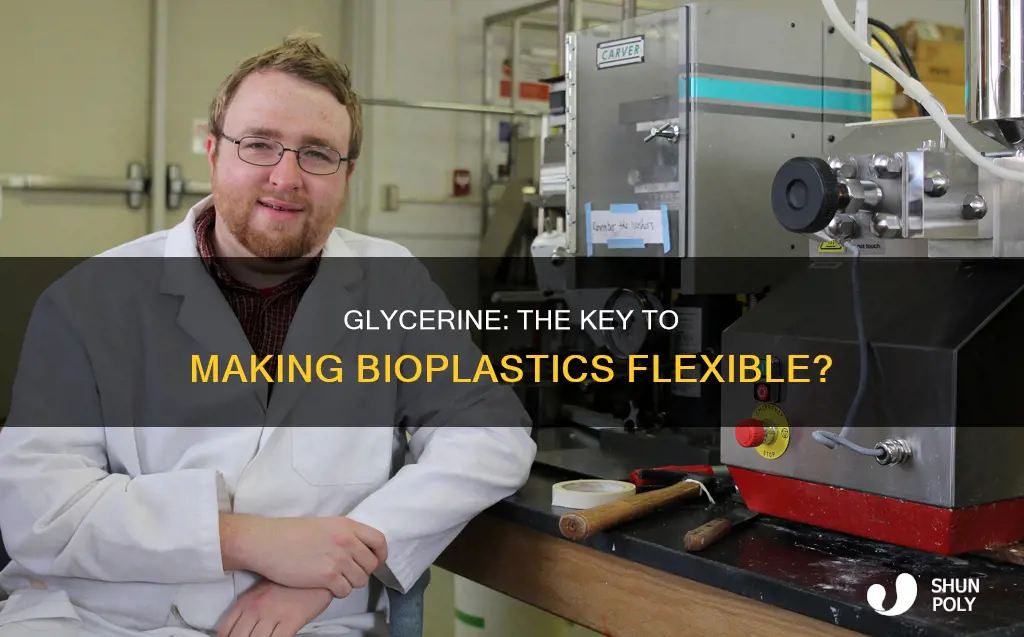 is glycerine the plasticizer in bioplastics