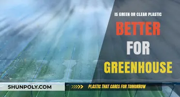 Green vs. Clear Plastic: Which is Best for Your Greenhouse?