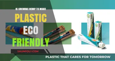 Is Hemp Plastic the Eco-Friendly Alternative We've Been Waiting For?
