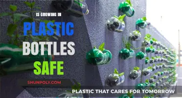 Is Growing in Plastic Bottles Safe? Exploring Risks and Alternatives