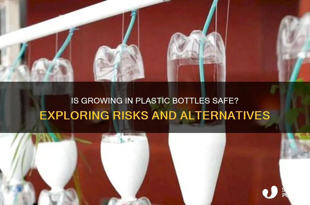 is growing in plastic bottles safe