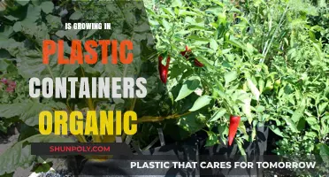 Plastic Containers: Organic Gardening's Dark Secret?