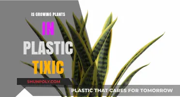Plastic Planters: Safe or Toxic?