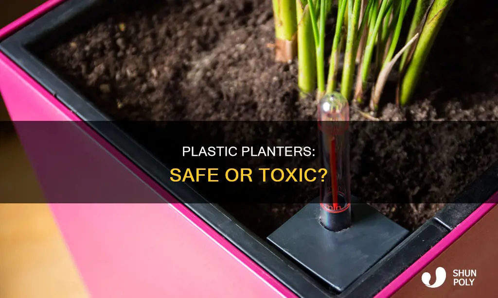 is growing plants in plastic tixic