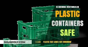 Plastic Containers: Safe for Growing Vegetables?