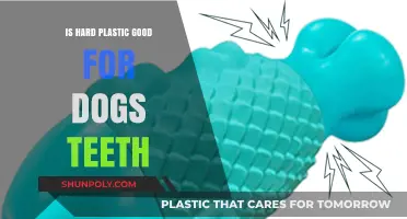 Hard Plastic: Safe Chewing for Dogs' Teeth?