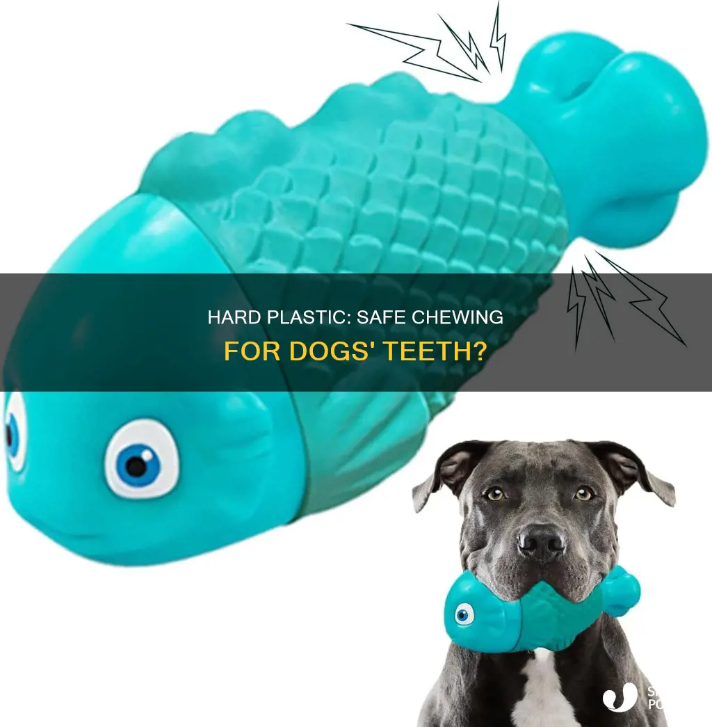 is hard plastic good for dogs teeth