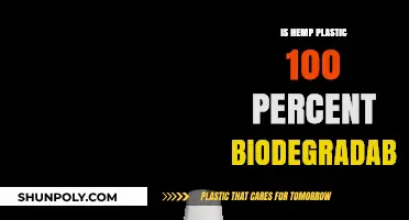 Hemp Plastic: Truly Biodegradable or Just Hype?