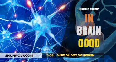 Brain Plasticity: Boon or Bane?