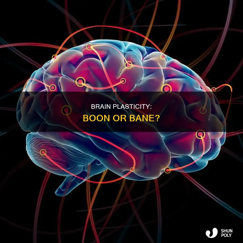 is high plasticity in brain good