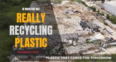 Houston's Plastic Recycling: A Greenwashing Sham?