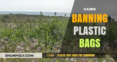 Is Illinois Banning Plastic Bags? What You Need to Know
