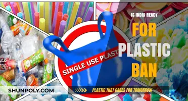 Plastic Ban in India: Are We Ready?