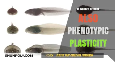 Induced Defenses: Phenotypic Plasticity in Action