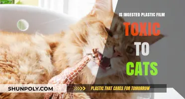 Plastic Film Ingestion: A Cat Health Hazard?