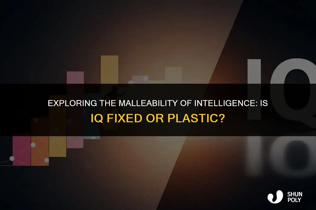 is iq plastic or fix