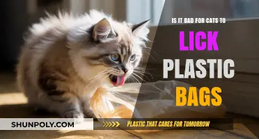 Cats and Plastic Bags: Understanding the Risks of Licking