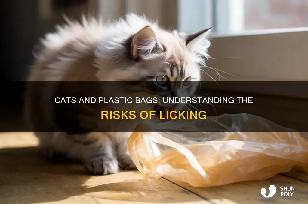is it bad for cats to lick plastic bags