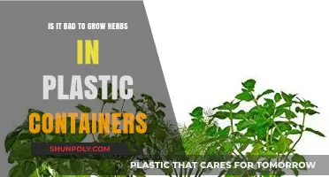 Plastic Herb Planters: Good or Bad?