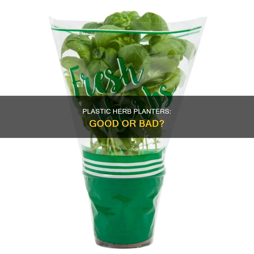 is it bad to grow herbs in plastic containers