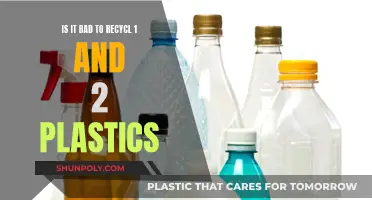 Recycling Plastics: Is It Harmful to the Environment?