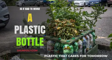Reusing Plastic Bottles: Health Risks, Environmental Impact, and Safe Practices