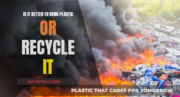 Burning vs Recycling: Plastic's Fate Decides Our Future