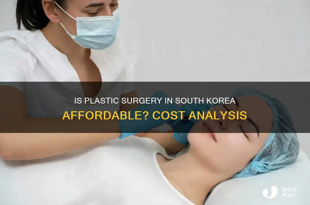 is it chaper to get plastic surgery in south korea