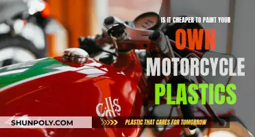 Painting Motorcycle Plastics: DIY or Professional?