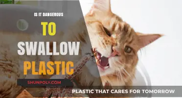 Plastic Ingestion: A Dangerous Health Risk