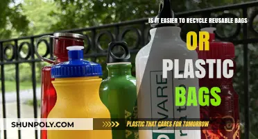 Reusable vs. Plastic Bags: Which is Easier to Recycle?