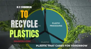 The Economics of Plastic Recycling: Is It Worthwhile?